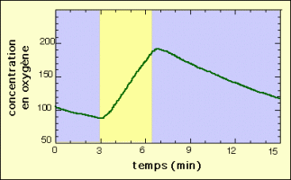 Résultats d’une expérience d’ExAO sur la photosynthèse