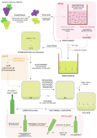 Spécificité des étapes de fabrications des vins rosés, mutés et pétillants à partir d’une vinifcation en blanc