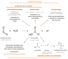 Actions du dioxyde de soufre dans le vin