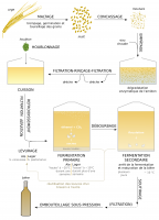 Principales étapes de fabrication de la bière