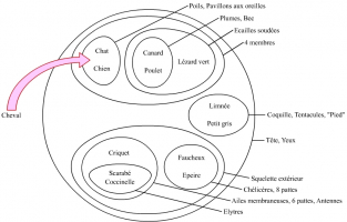 Exemple d'assignation ou rangement Assignation ou rangement