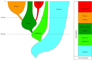 Mélange de classification et de clé de détermination