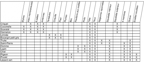 Liste d'attributs