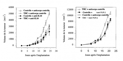 Implication de l'IL-10 et du TGF-ß dans l'action du THC