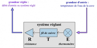 Le système réglant d’un bain-marie