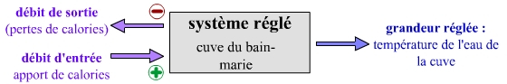 Le système réglé d’un bain-marie