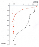 Distribution verticale du carbone organique dans deux sols épais