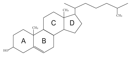 Représentation du cholestérol en structure plane