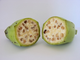 Le fruit d'un bananier sauvage