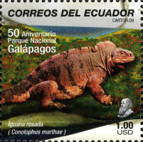 Conolophus marthae, iguane rose du volcan Wolf de l'ile Isabela, représenté sur un timbre d’Équateur