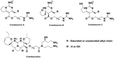 Crambescines et crambescidines
