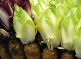 Endives
