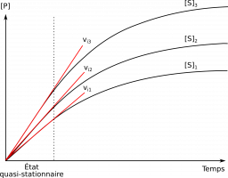 Concentration en produit au cours du temps pour une réaction catalysée par une enzyme michaelienne