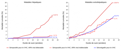 Mortalité liée aux manifestations hépatiques et extrahépatiques de l’hépatite C