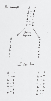 Dessin de la lettre de Crick