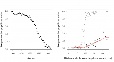 Diminution de la fréquence des phalènes du bouleau de couleur noire à la fin du siècle dernier, et relation entre leur fréquence et l’urbanisation