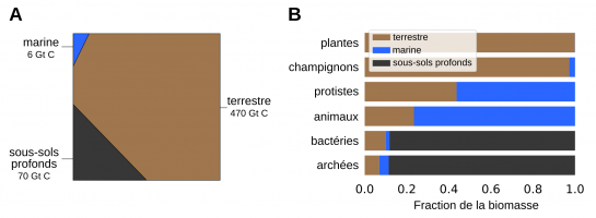 Distribution des biomasses en fonction des milieux de vie