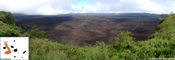 L’immense caldeira et le toit de lave du volcan Sierra Negra au sud de l’île Isabela