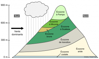 Le modèle d’étagement des zones de végétation sur une île des Galápagos