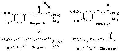 Composés aromatiques du gingembre