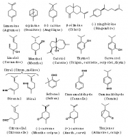 Quelques composés volatils des herbes et des épices