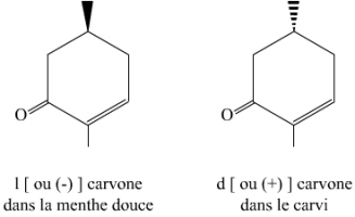 La carvone