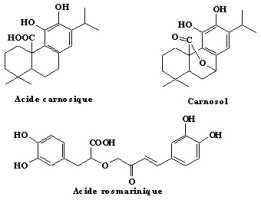 Structures de quelques composés d'épices et d'herbes aromatiques dotés de pouvoirs antioxydants