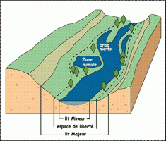 Vue en coupe du lit d'un cours d'eau
