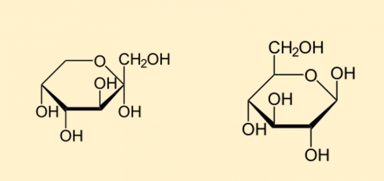 Fructose et glucose