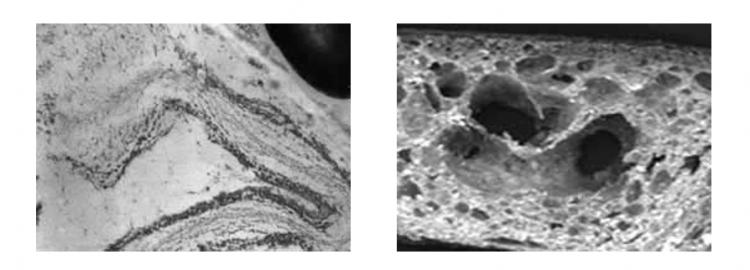 Structure de la pâte à pain et du pain