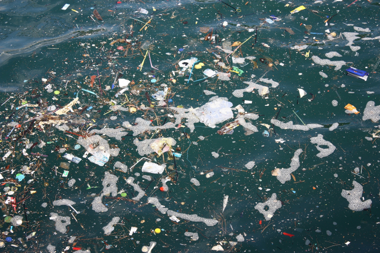 Pollution marine par les plastiques