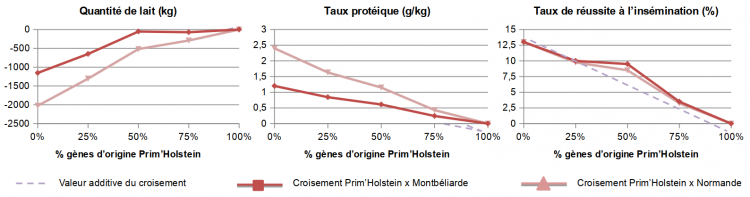 Mesure de trois caractères chez des races pures ou des vaches issues de croisement entre races