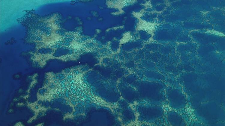 Vue aérienne d'un récif corallien