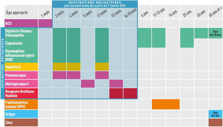 Calendrier vaccinal simplifié