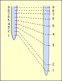 Schéma de l'expérience de Sachs