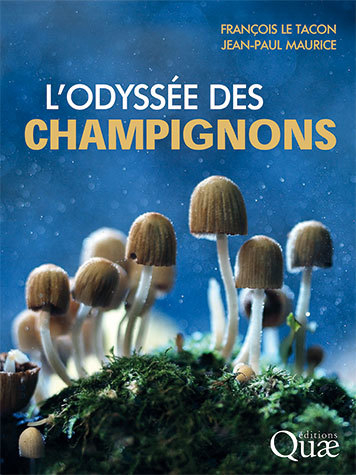 Couverture - L'odyssée des champignons