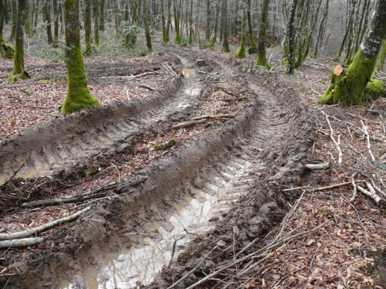 Compactage mécanique des sols lors de débardage forestier en climat tempéré atlantique