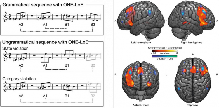 Activation de l’équivalent à droite de l’aire de Broca lors de la présentation de phrases musicales « non grammaticales »