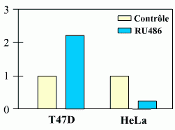 Activité antagoniste mixte du RU-486