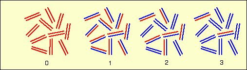 Représentation schématique de la population de fragments d’ADN au cours des générations