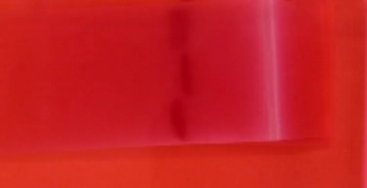 Bande d'acétate dans un bain de rouge ponceau
