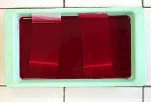 Coloration des bandes par le rouge ponceau