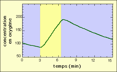 Résultats d’une expérience d’ExAO sur la photosynthèse