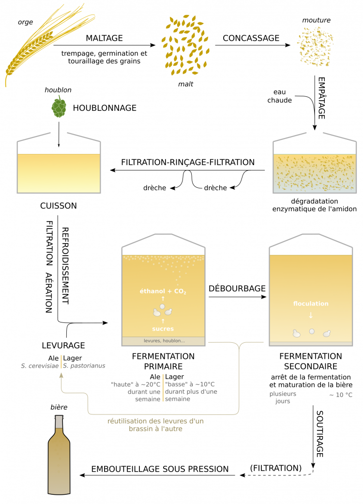 Principales étapes de fabrication de la bière