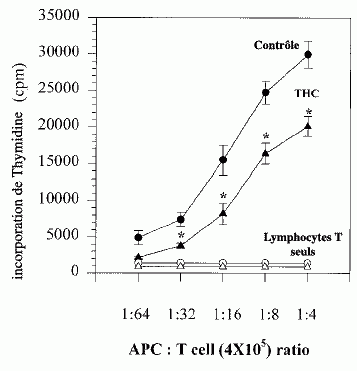 Le THC inhibe les capacités de réponse des lymphocytes T