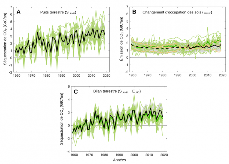 Évolution temporelle des échanges de CO2 entre l’atmosphère et la biosphère terrestre