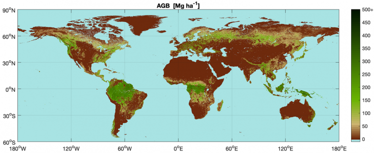 Carte globale de la biomasse aérienne (AGB, aboveground biomass, en Mg/ha) estimée à partir d’observations de télédétection optique et radar