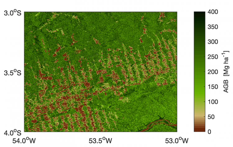 Niveaux de biomasse aérienne d’une zone déforestée