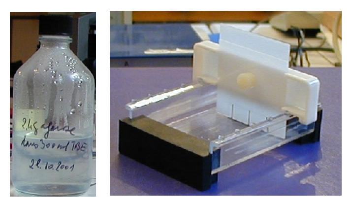 Préparation du gel d'agarose