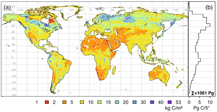 Répartition mondiale du stock de carbone organique dans le premier mètre de sol